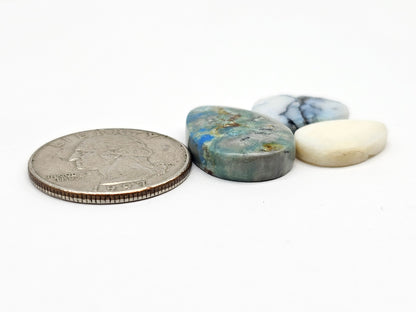 Dark Moon Variscite Cabochon Lot