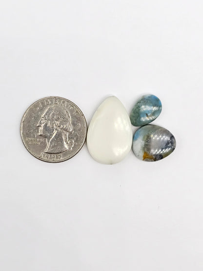 Dark Moon Variscite Cabochon Lot