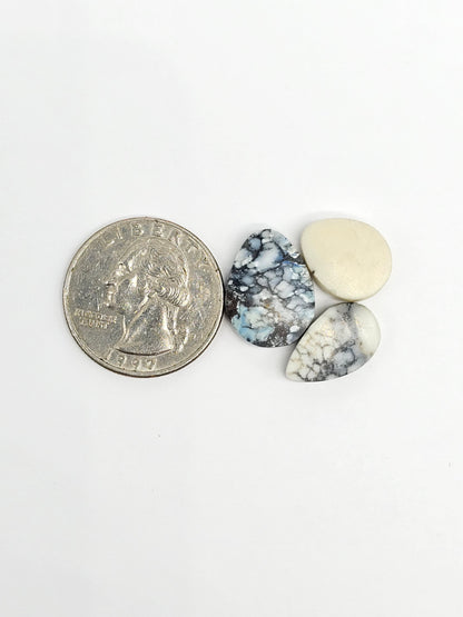 Dark Moon Variscite Cabochon Lot