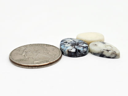 Dark Moon Variscite Cabochon Lot
