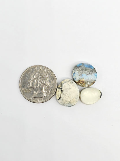 Dark Moon Variscite Cabochon Lot
