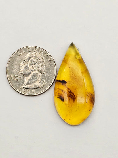Amber authentic cabochon large