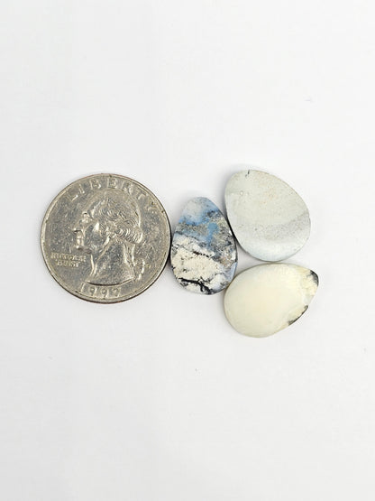 Dark Moon Variscite Cabochon Lot