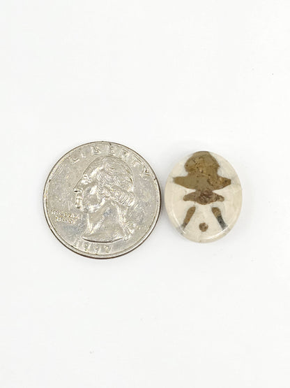 Sand Dollar Fossil - Medium