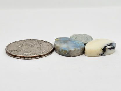 Dark Moon Variscite Cabochon Lot