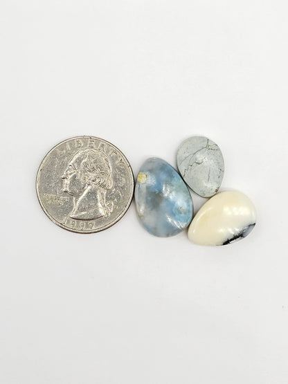 Dark Moon Variscite Cabochon Lot