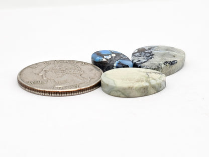 Dark Moon Variscite Cabochon Lot