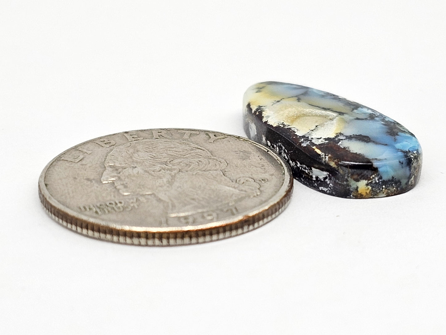 Dark Moon Variscite Cabochon