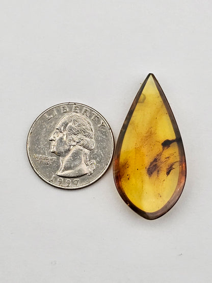 Amber authentic cabochon large