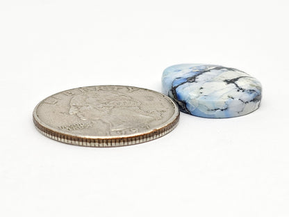 Dark Moon Variscite Cabochon