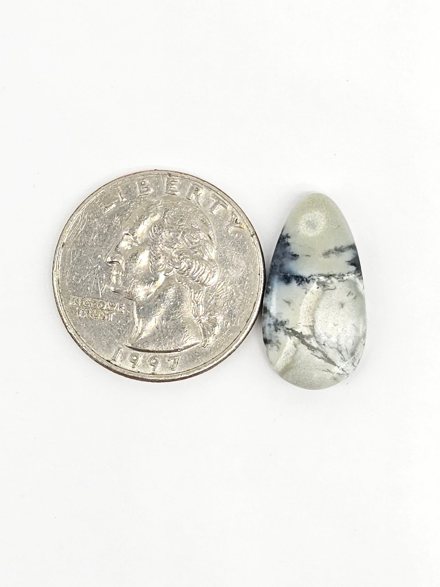 Dark Moon Variscite Cabochon