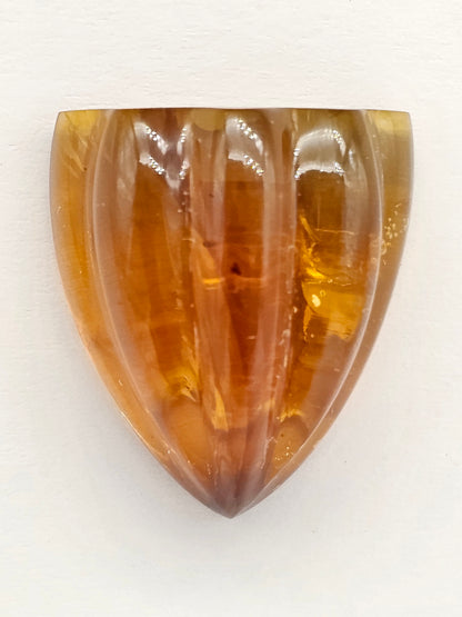 Amber Shell Cabochon