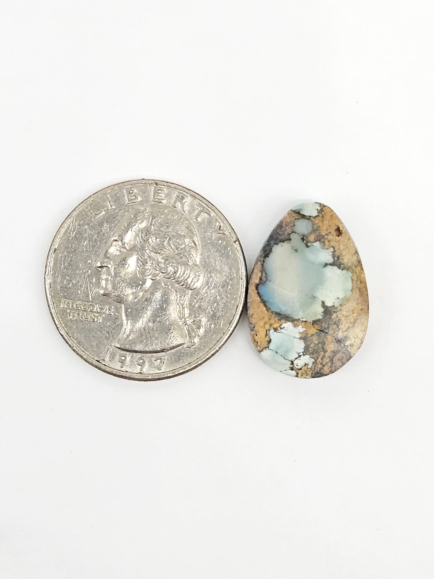 Dark Moon Variscite Cabochon