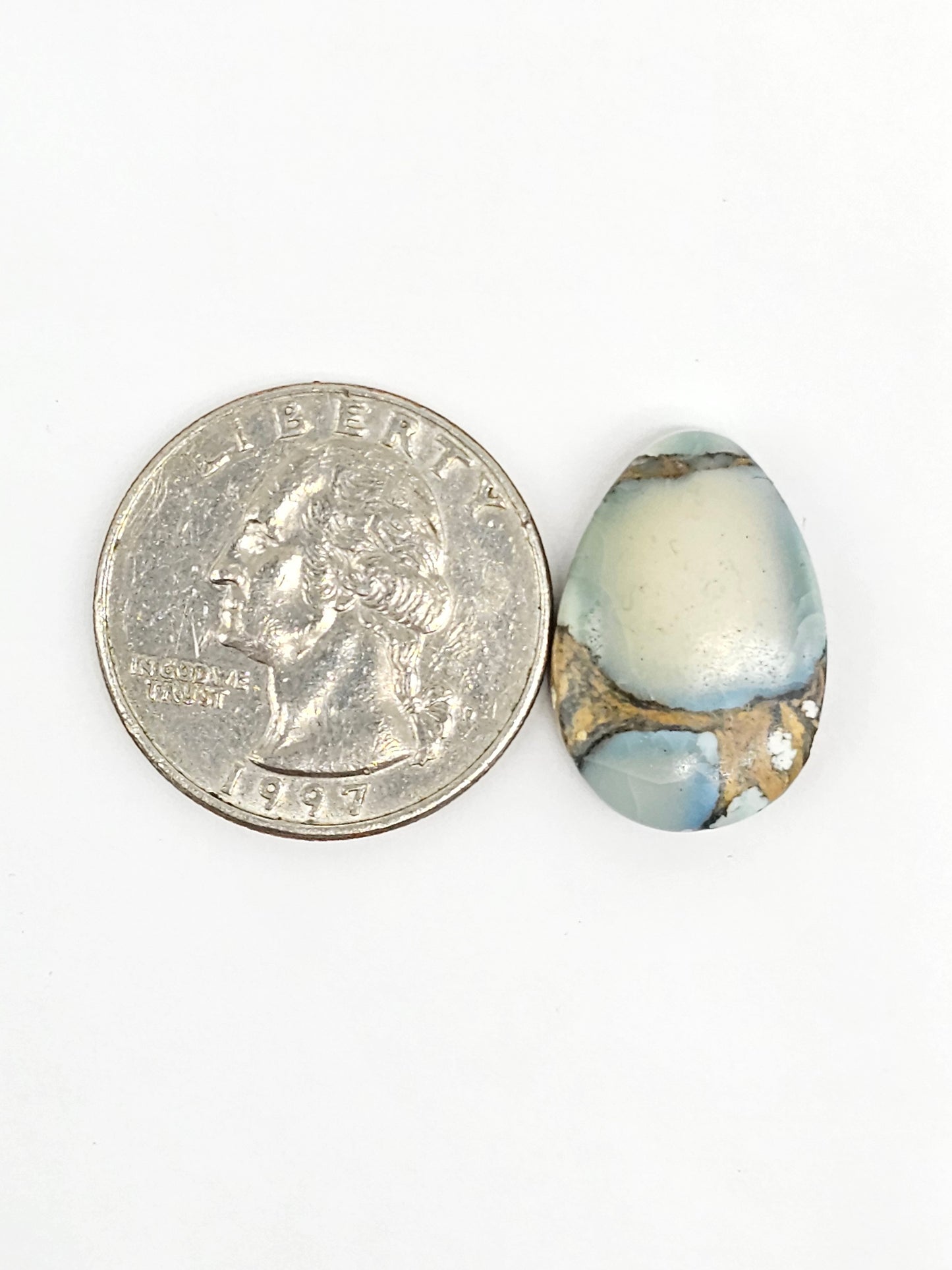 Dark Moon Variscite Cabochon