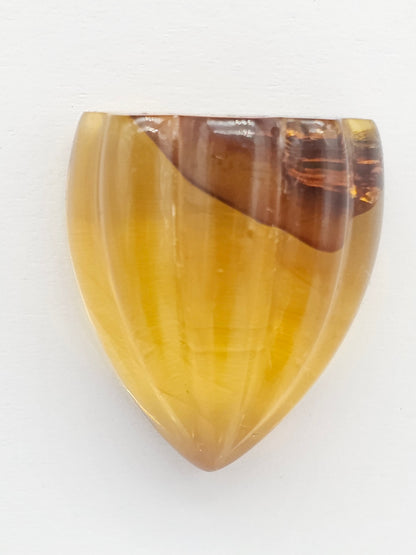 Amber Shell Cabochon