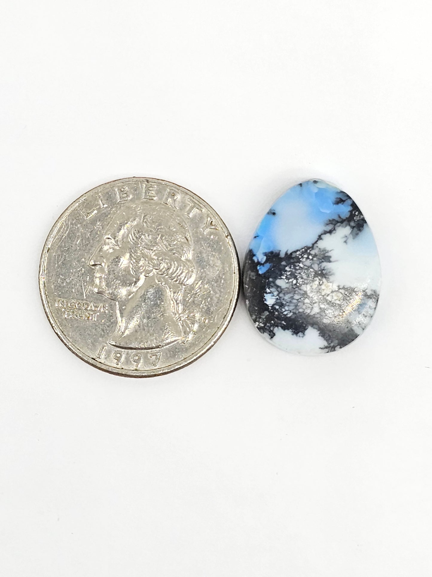 Dark Moon Variscite Cabochon