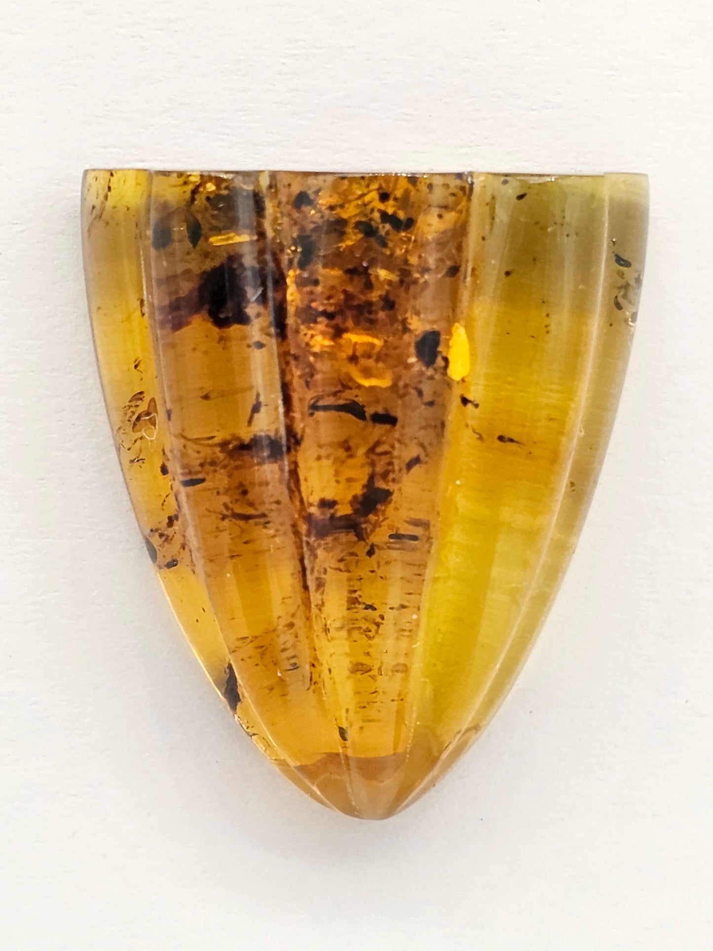 Amber Shell Cabochon