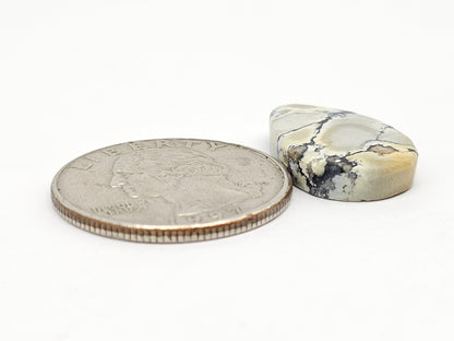 Dark Moon Variscite Cabochon