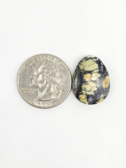 Dark Moon Variscite Cabochon