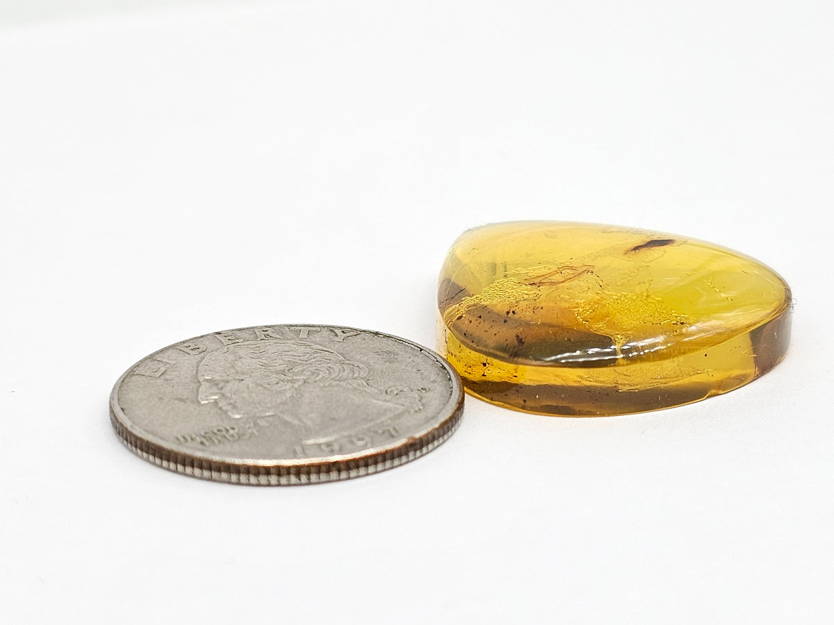 Amber cabochon | Artisan Cut Gemstone