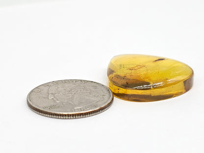 Amber cabochon | Artisan Cut Gemstone