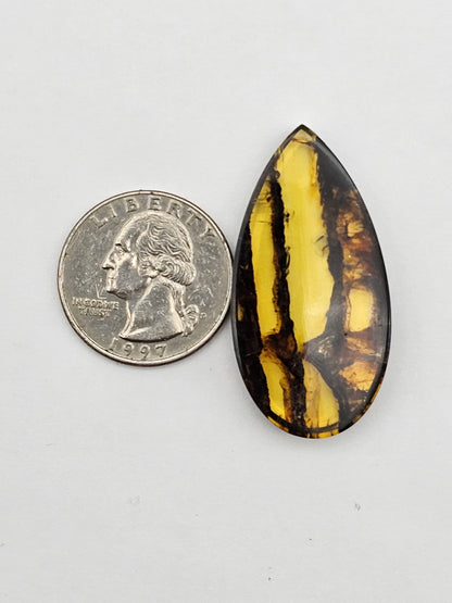 Amber authentic cabochon large