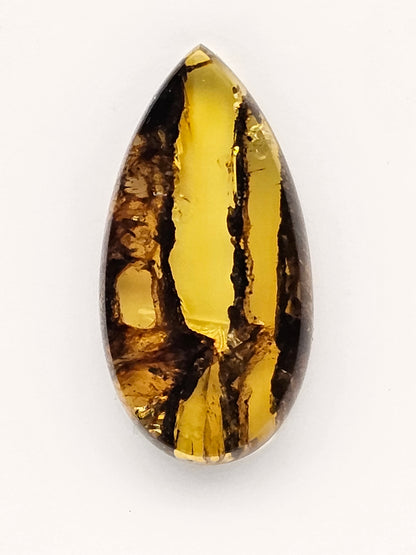 Amber authentic cabochon large