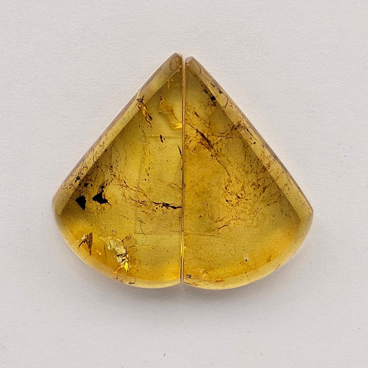 Amber authentic cabochon pair large