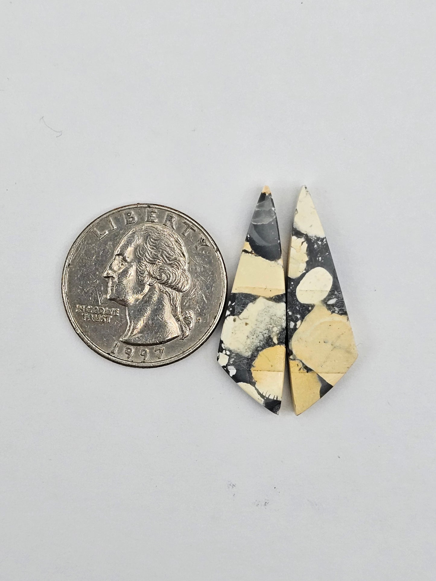 Maligano Jasper cabochon pair