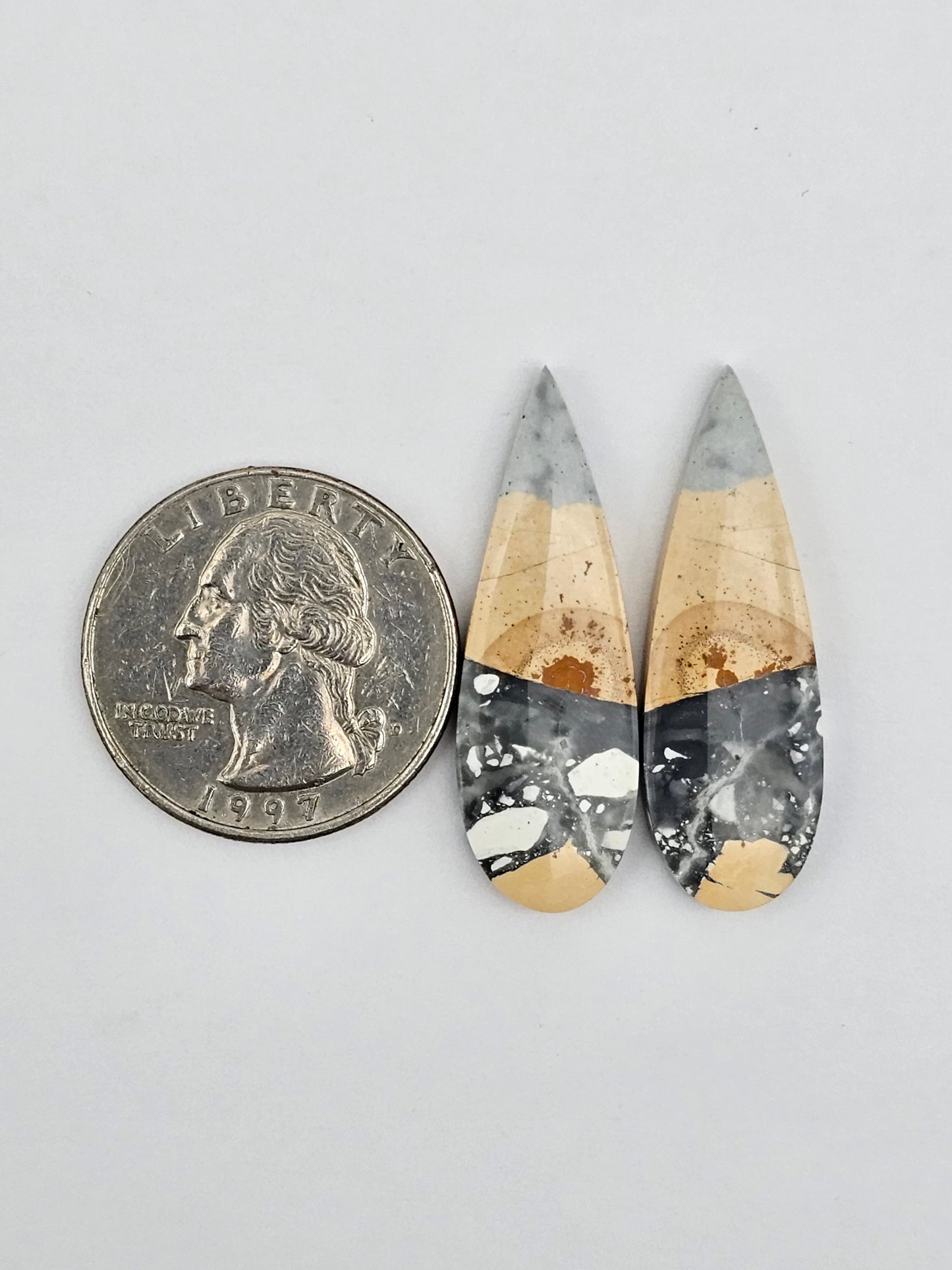 Maligano Jasper cabochon pair