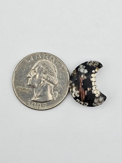 Snake skin agate moon cabochon