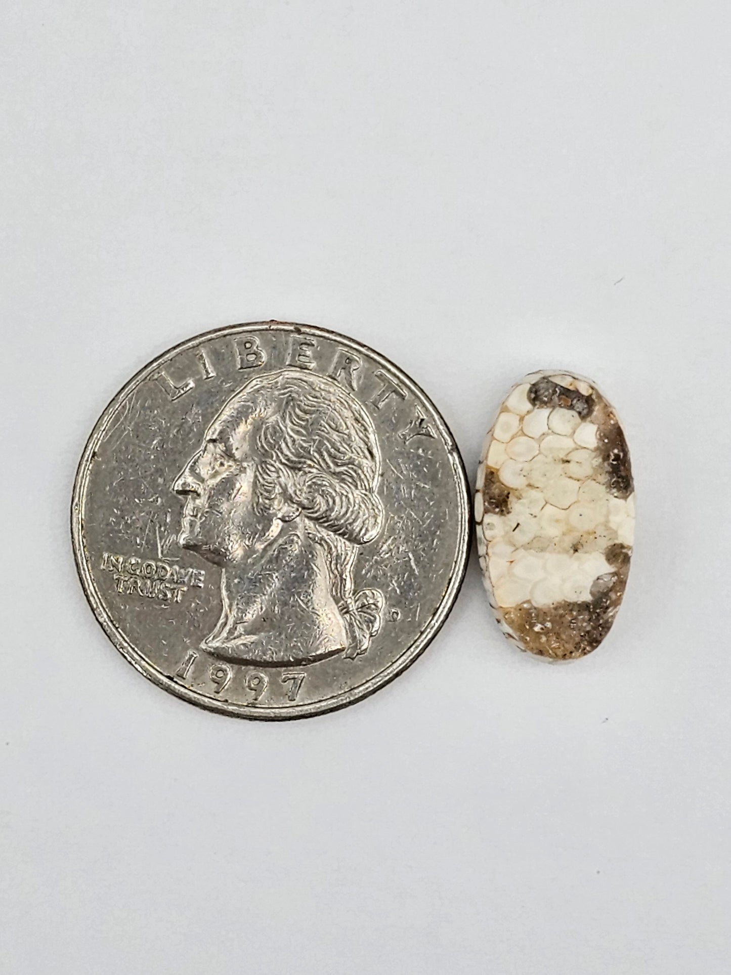 Snake skin agate cabochon