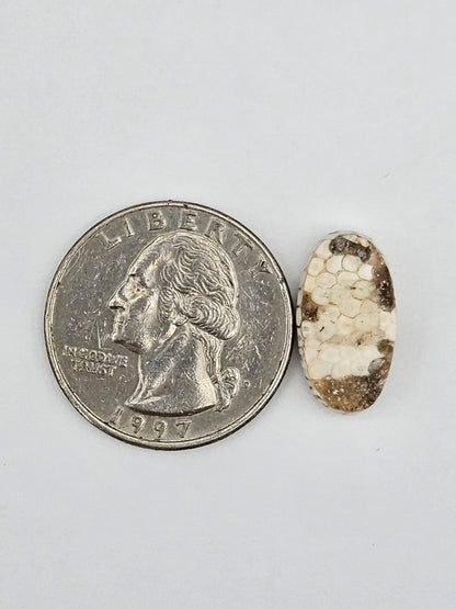 Snake skin agate cabochon