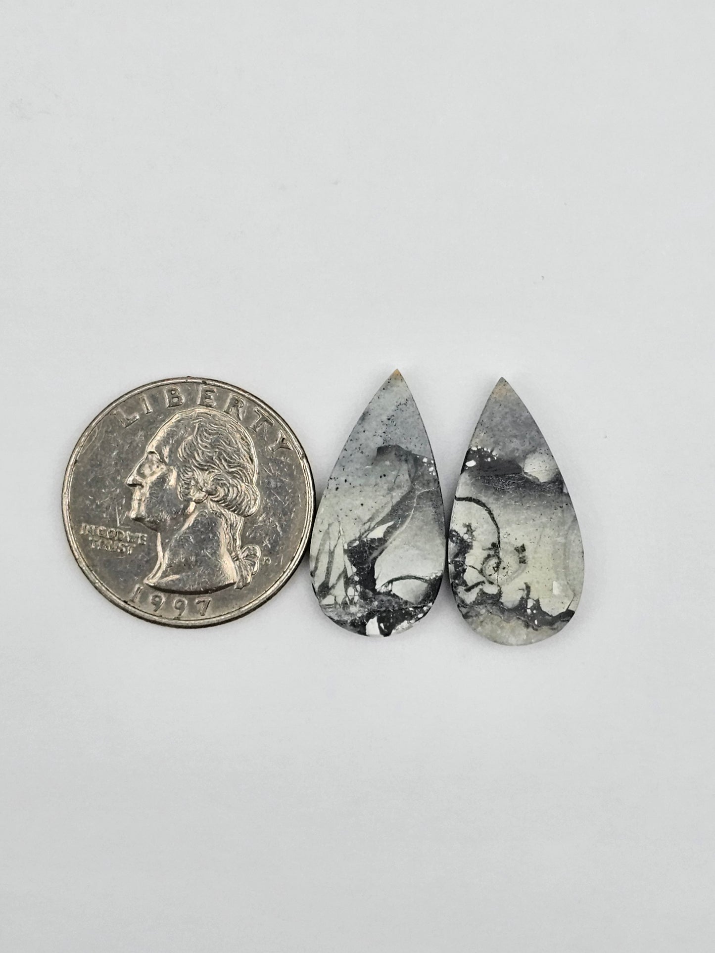 Maligano Jasper cabochon pair