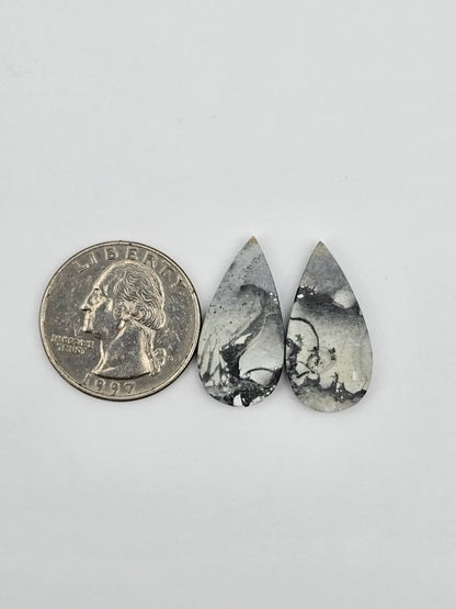 Maligano Jasper cabochon pair