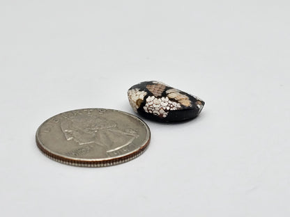 Snake skin agate moon cabochon