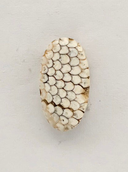 Snake skin agate cabochon