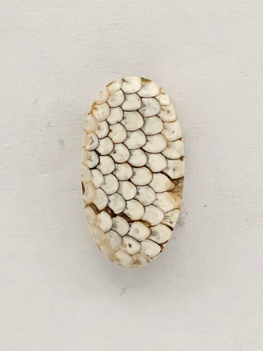 Snake skin agate cabochon