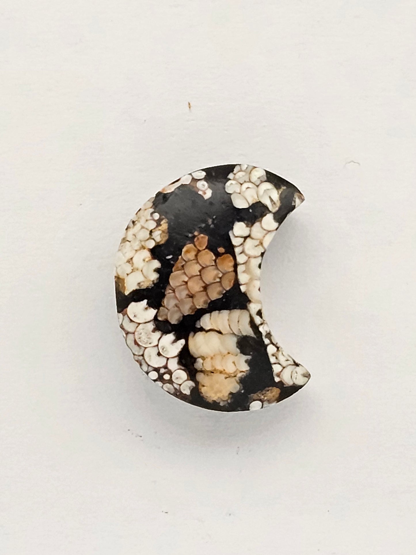 Snake skin agate moon cabochon