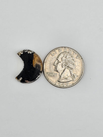 Snake skin agate moon cabochon