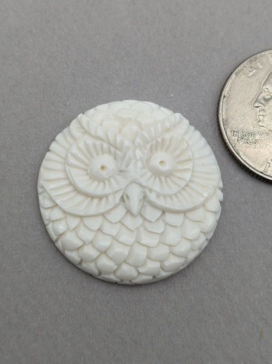 Carved bovine bone owl cabochon