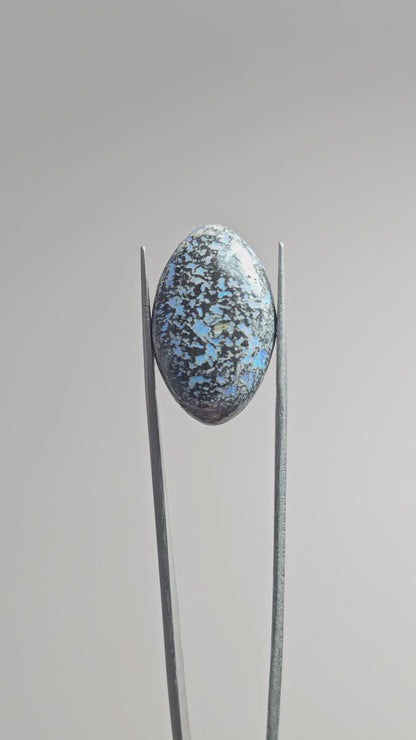 Rare Mexican Leopard Opal Cabochon