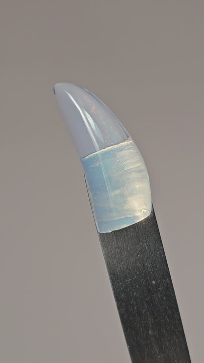 Mexican Cantera Opal Fang Cabochon