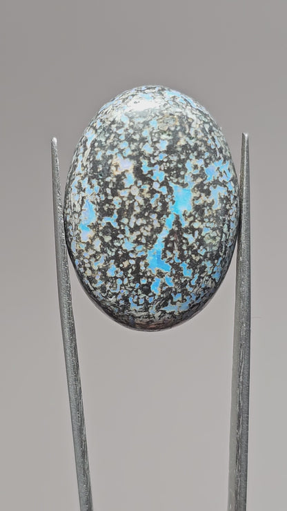 Rare Mexican Leopard Opal Cabochon