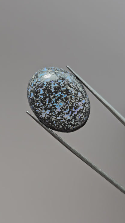 Rare Mexican Leopard Opal Cabochon