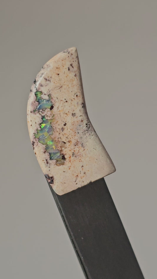 Mexican Cantera Opal Fang Cabochon