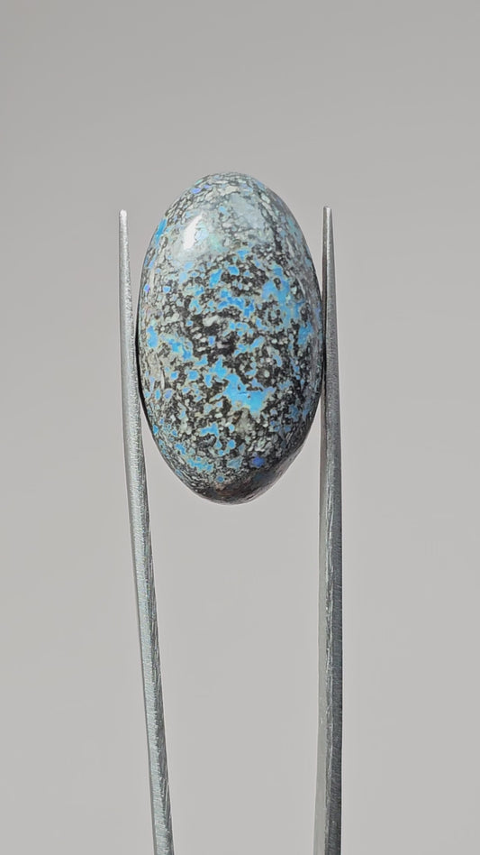 Rare Mexican Leopard Opal Cabochon