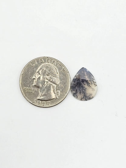 Dentrite agate cabochon large