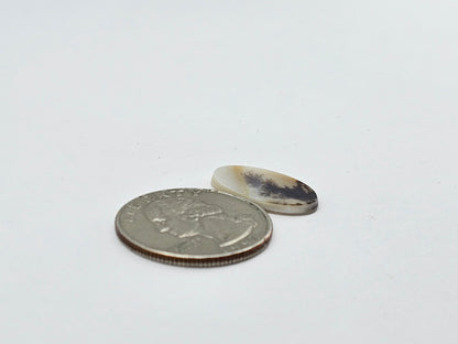 Dentrite agate cabochon large