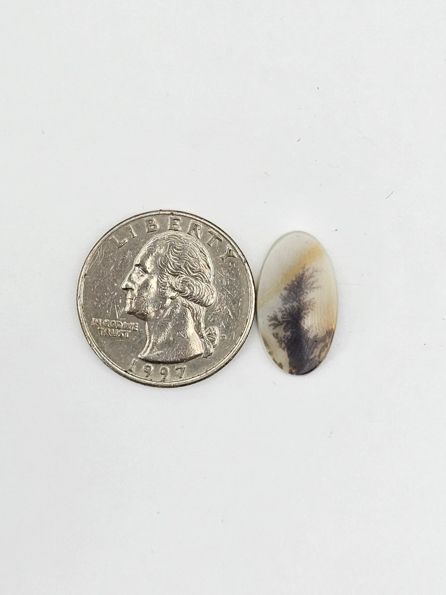 Dentrite agate cabochon large